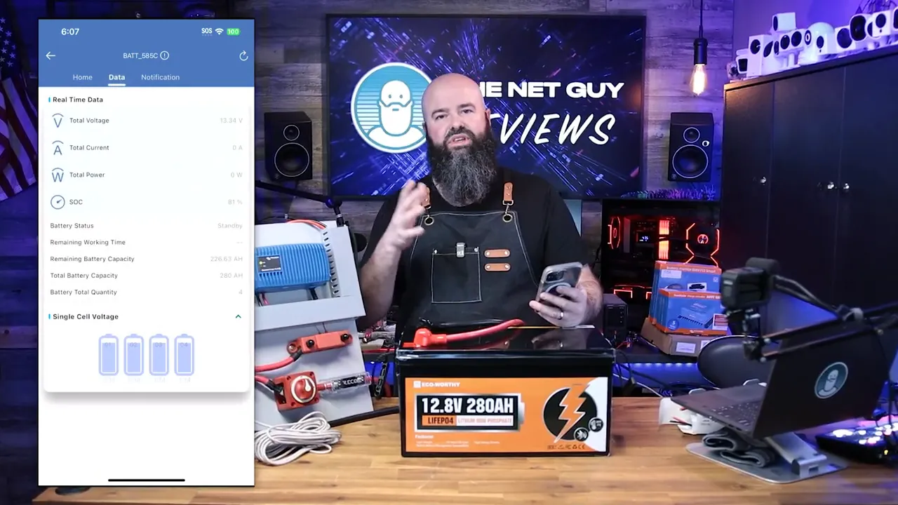 Eco-Worthy screen showing individual cell voltages and state of charge